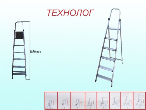 ������� �������� 6 ����. (�������) �� �������� - �������� 1