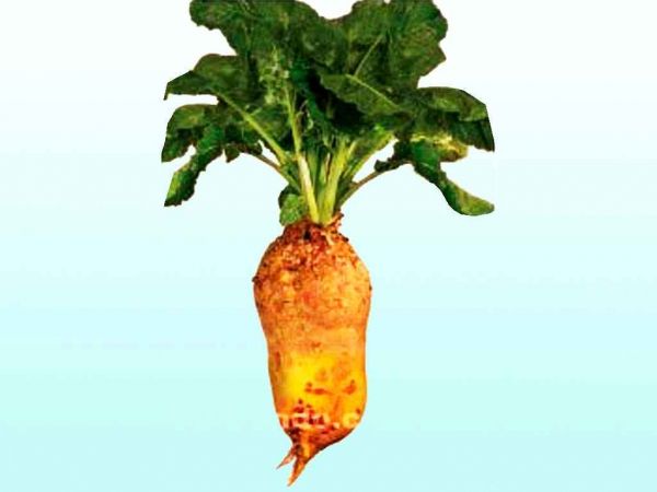 ����� �������� (�/� ��.) ����� ��� 500� �������� ������� - �������� 1