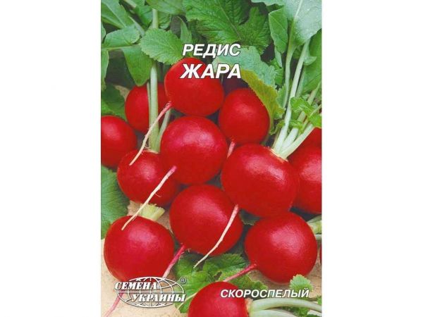 ó   20  (10 ) Ѳ  -  1