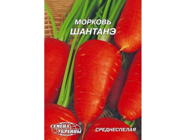 ó���� ������ ������� 20 � (10 �����) �������� ������� - �������� 1