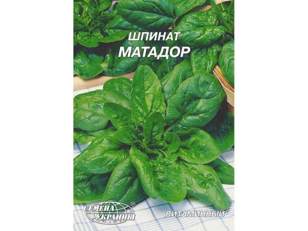 ó���� ������ ������� 20� (10 �����) ����Ѳ��� ������� - �������� 1