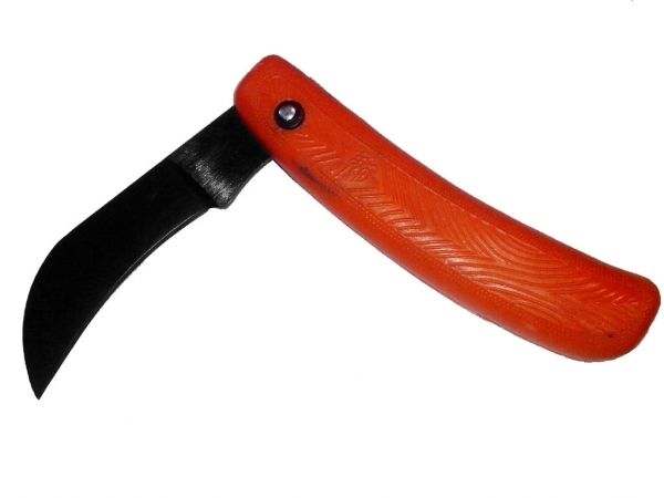 ͳ� ������� �������� �� �������� - �������� 1