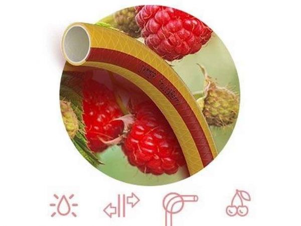 ����� ��� ������ 1/2 (20�) FRUITBERRY (�����) ��SYMMER - �������� 1