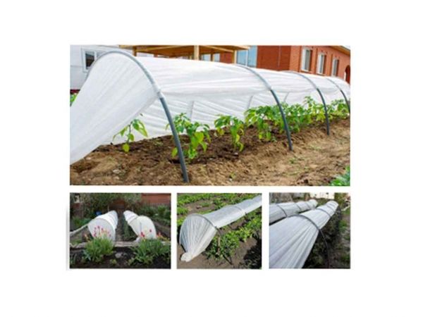 ̳�������� 6� ����������� 30�/� �����˲��� - �������� 1