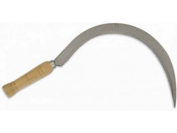 ����, 450�� ��TECHNICS - �������� 1