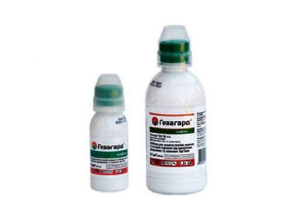 �������� �������� 300�� ��SYNGENTA - �������� 1