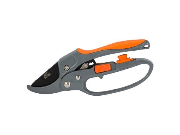 ������� � �������� ���������� 200�� ��SIGMA - �������� 1