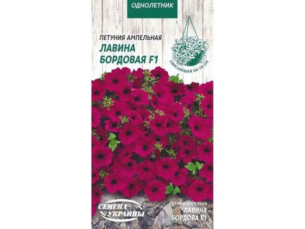 ������� �������� ������ �������� F1 [10��] �� (10 �����) ����Ѳ��� ������� - �������� 1