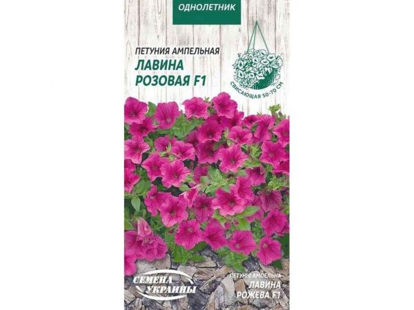 ������� �������� ������ ������� F1 [10��] �� (10 �����) ����Ѳ��� ������� - �������� 1