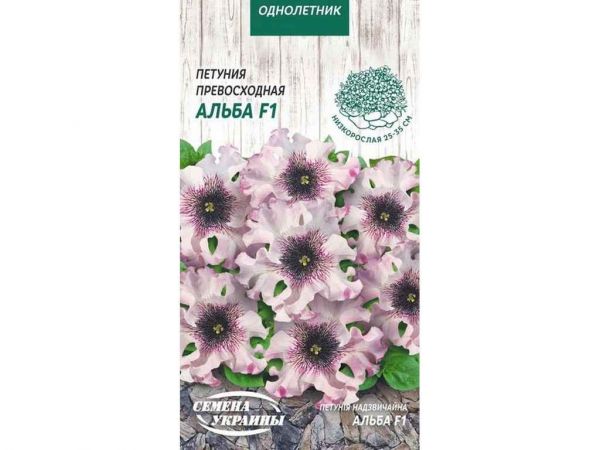 ������� ������ ����� F1 (����) [10��] �� (10 �����) ����Ѳ��� ������� - �������� 1