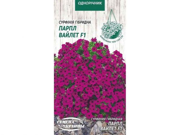 �������� ������� ����� ������ F1 [5��] �� (10 �����) �������� ������� - �������� 1