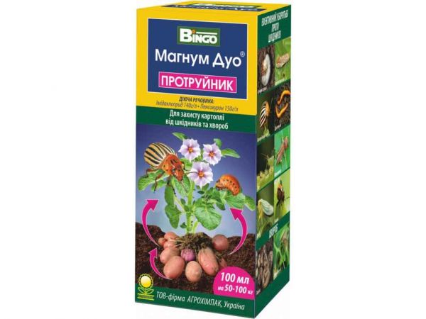 �������� ������ ��� 100�� [�� 100��] ��BINGO - �������� 1