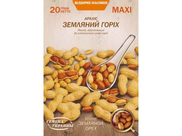 ���� ������ �������� ���� 20� (10 �����) �������� ������� - �������� 1