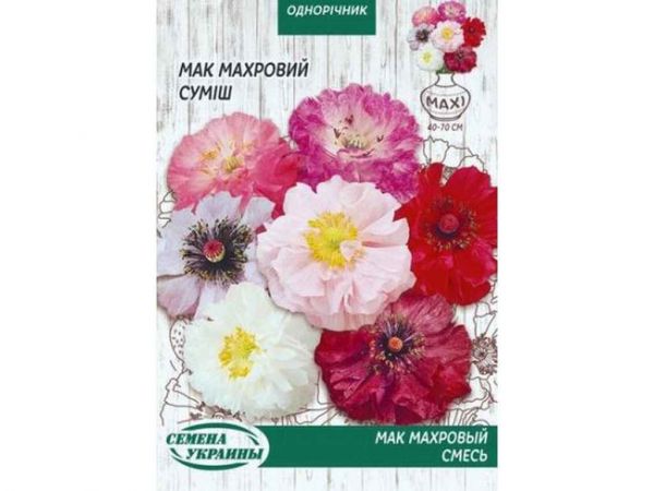 ���� ��� �������� (�����) 3� (10 �����) �������� ������� - �������� 1