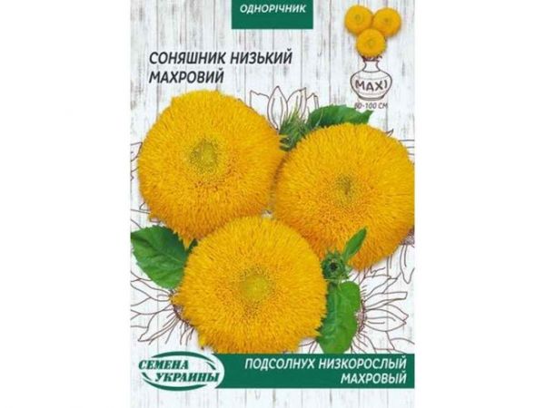 ���� �������� ���. ����� (�����) 10� (10 �����) �������� ������� - �������� 1