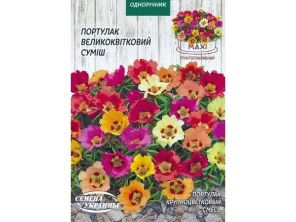 ���� �������� ��������������� (�����) 2� (10 �����) �������� ������� - �������� 1