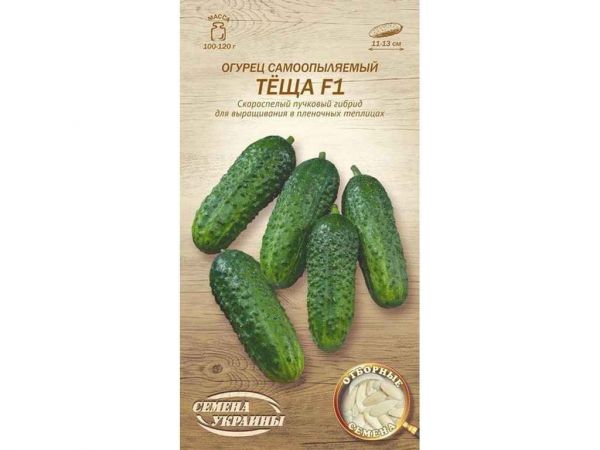 ����� ������������� ���� F1 �� 0,25� (20 �����) (��) �������� ������� - �������� 1