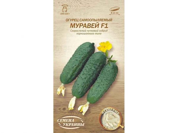 ����� ������������� ������� F1 �� 0,25� (20 �����) (��) �������� ������� - �������� 1