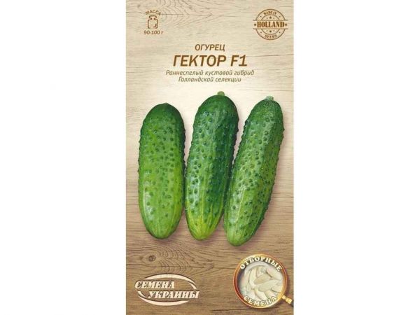 ����� ������ F1 �� 0,25� (20 �����) (��) �������� ������� - �������� 1