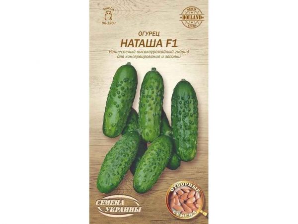 ����� ������ F1 �� 0,25� (20 �����) (��) �������� ������� - �������� 1