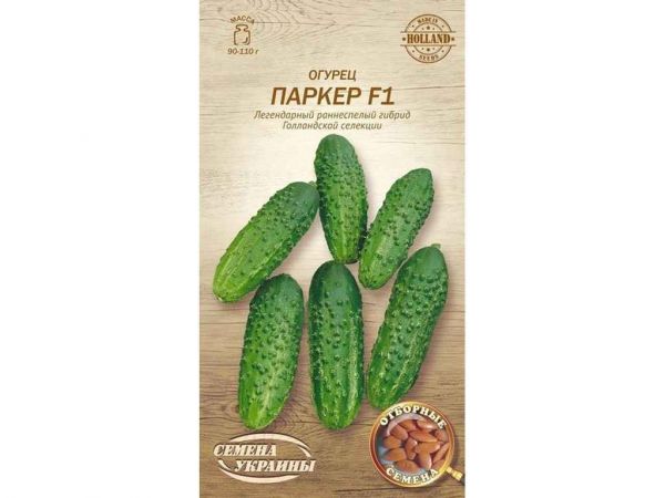 ����� ������ F1 �� 0,25� (20 �����) (��) �������� ������� - �������� 1