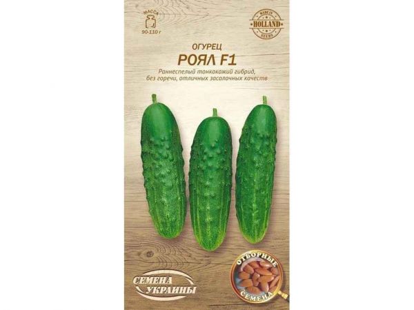 ����� ���� F1 �� 0,25� (20 �����) (��) �������� ������� - �������� 1