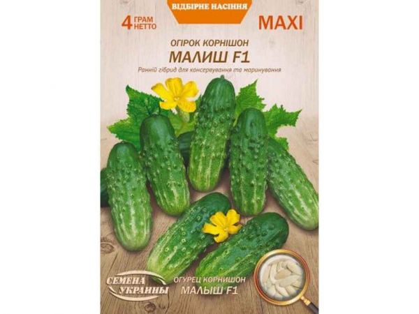 ���� ����� �������� ����� F1 4� (10 �����) (��) �������� ������� - �������� 1