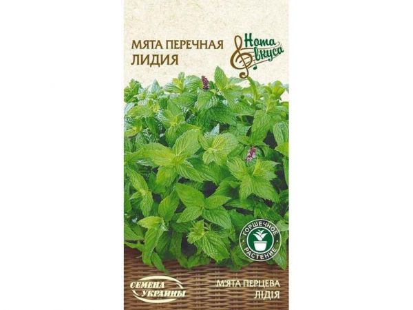 �'��� ������� ˲Ĳ� �� 0,1� (20 �����) �������� ������� - �������� 1