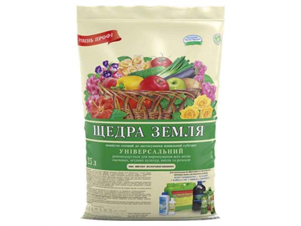 �������� �������� � ��������� �������� ��������� 25� ������� ����� - �������� 1