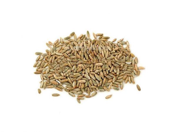 ���� ������ ���� (� ����) 25�� �������� ������� - �������� 1