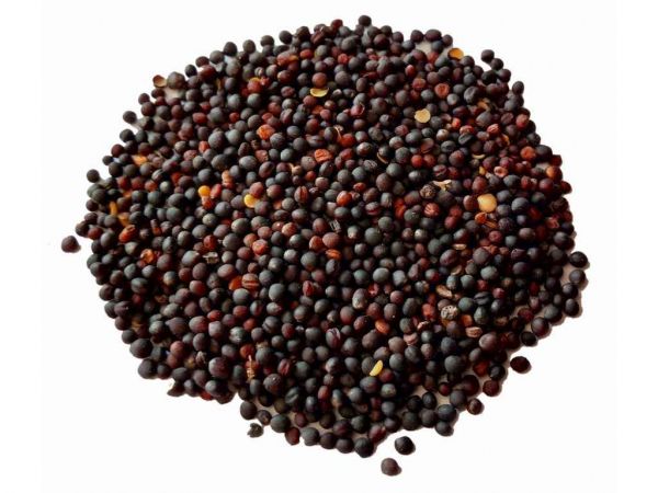 ����� ���� (� ����) 25�� �������� ������� - �������� 1