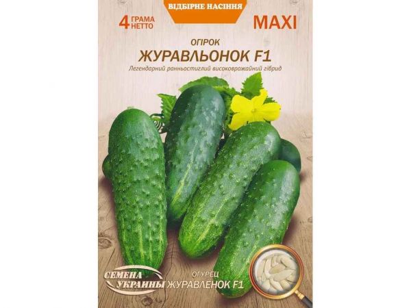 ���� ����� ����������� F1 4� (10 �����) (��) �������� ������� - �������� 1