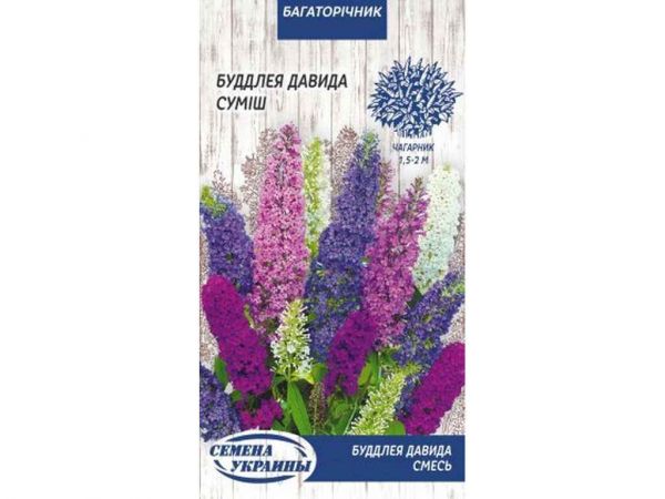 ������ ������ (����) 0,05� (10 �����) �������� ������� - �������� 1