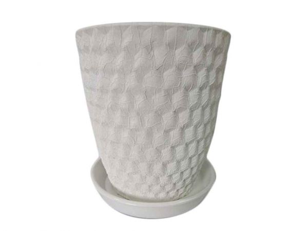 ������ ��������� ��� ���� 5� ���� ���������� - �������� 1