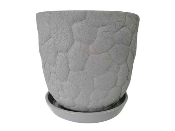 ������ ��������� ������ ���� 5 � ���� ���������� - �������� 1