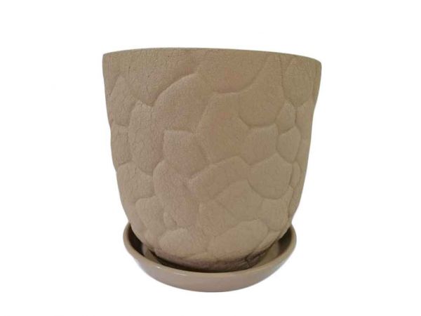 ������ ��������� ������ ���� 5 � ���� ���������� - �������� 1