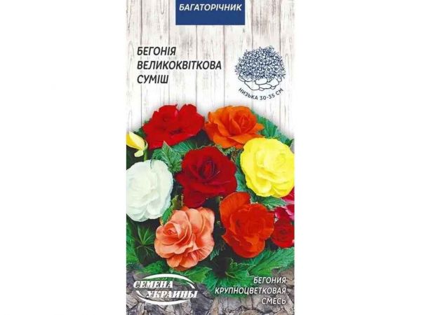 ������� ������������� (����) 10����. (10 �����) ����Ѳ��� ������� - �������� 1