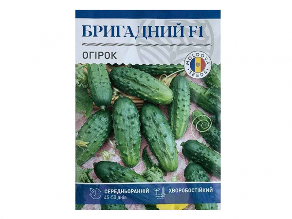 ����� ��������� F1 2,5� ���Ѳ (10 �����) ������� - �������� 1