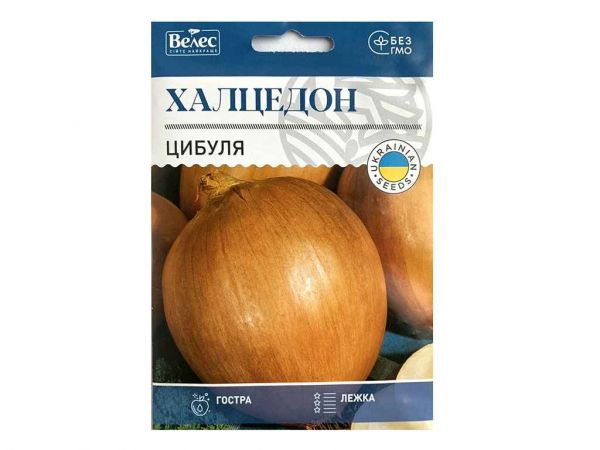 ������ �������� 8� ���Ѳ (10 �����) ������� - �������� 1