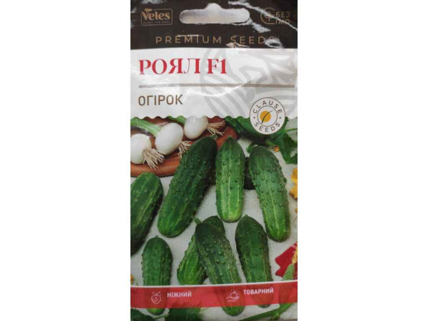 ����� ���� F1 10�� (10 �����) ������� - �������� 1