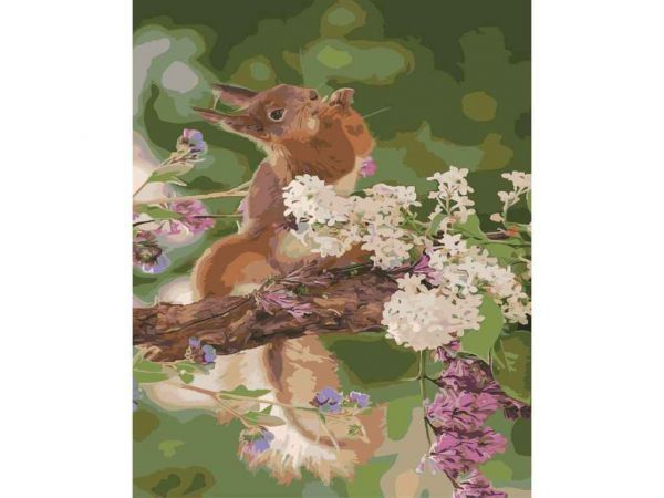 ���� ��� ������� �� ������� ����� ���� ����� 40�50�� SY6459 ��STRATEG - �������� 1