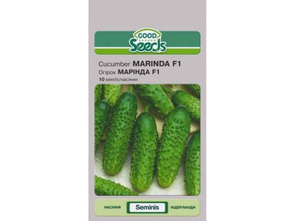 ����� ��в��� F1 [10 ������] (10 �����) ��GOOD SEEDS - �������� 1
