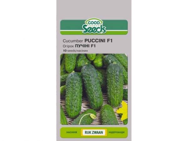 ����� ��ײͲ F1 [10 ������] (10 �����) ��GOOD SEEDS - �������� 1
