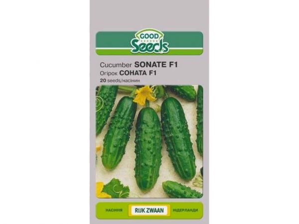 ����� ������ F1 [20 ������] (10 �����) ��GOOD SEEDS - �������� 1