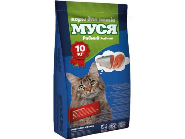���� ��� ���� ���� ���� 10�� ��O.L.KAR - �������� 1
