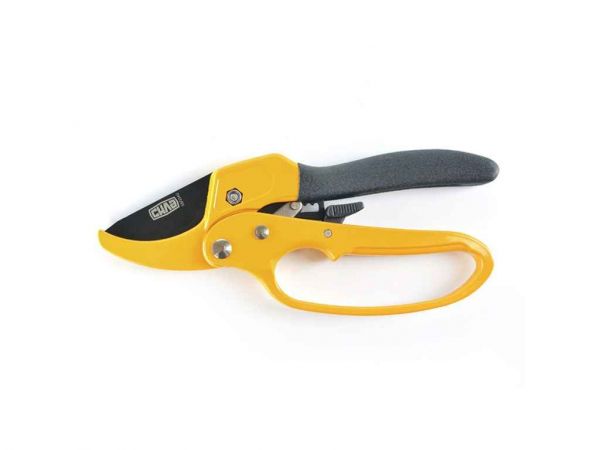 ������� L=200�� � �������� ���������� ������ - �������� 1