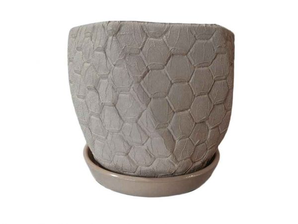 ������ ��������� ������������ ���� 5� ���� ���������� - �������� 1