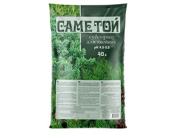 �������� �������� 40� ��� ������� ������ ��� - �������� 1