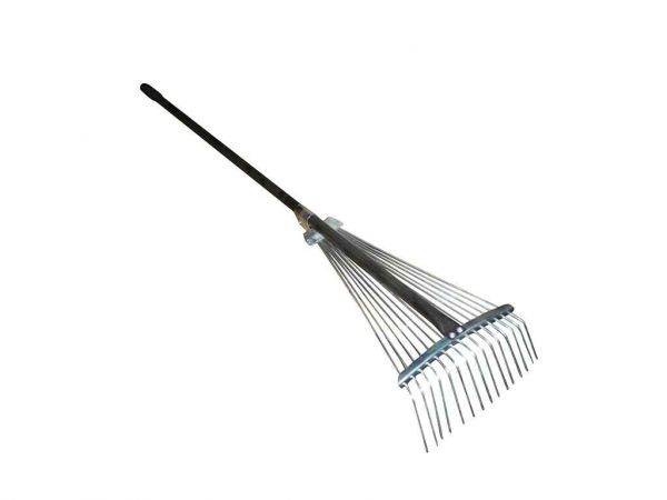 ����� ����� �������� 15 ����� � ������ ��������� - �������� 1