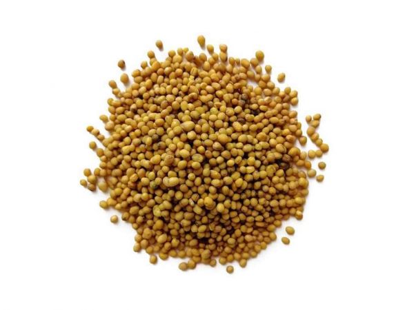 ó����� �������, ��� 25�� ��������� - �������� 1